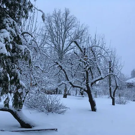 Excelent With Garden And Free Parking Apartament *