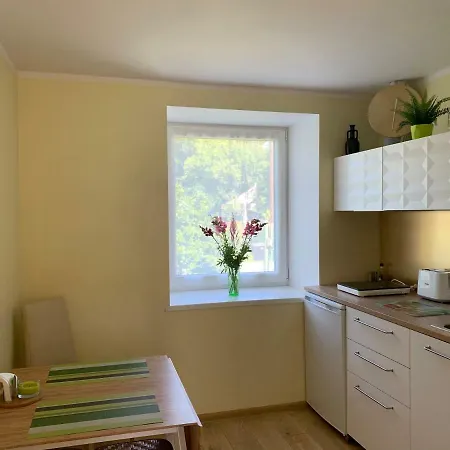 Apartment Excelent With Garden And Free Parking
