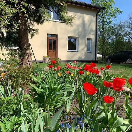 Lejlighed Excelent With Garden And Free Parking Riga