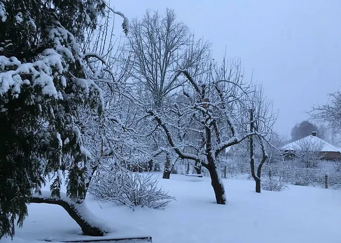 Excelent With Garden And Free Parking Dzīvoklis *