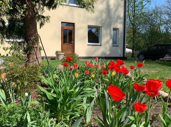 Dzīvoklis Excelent With Garden And Free Parking Riga